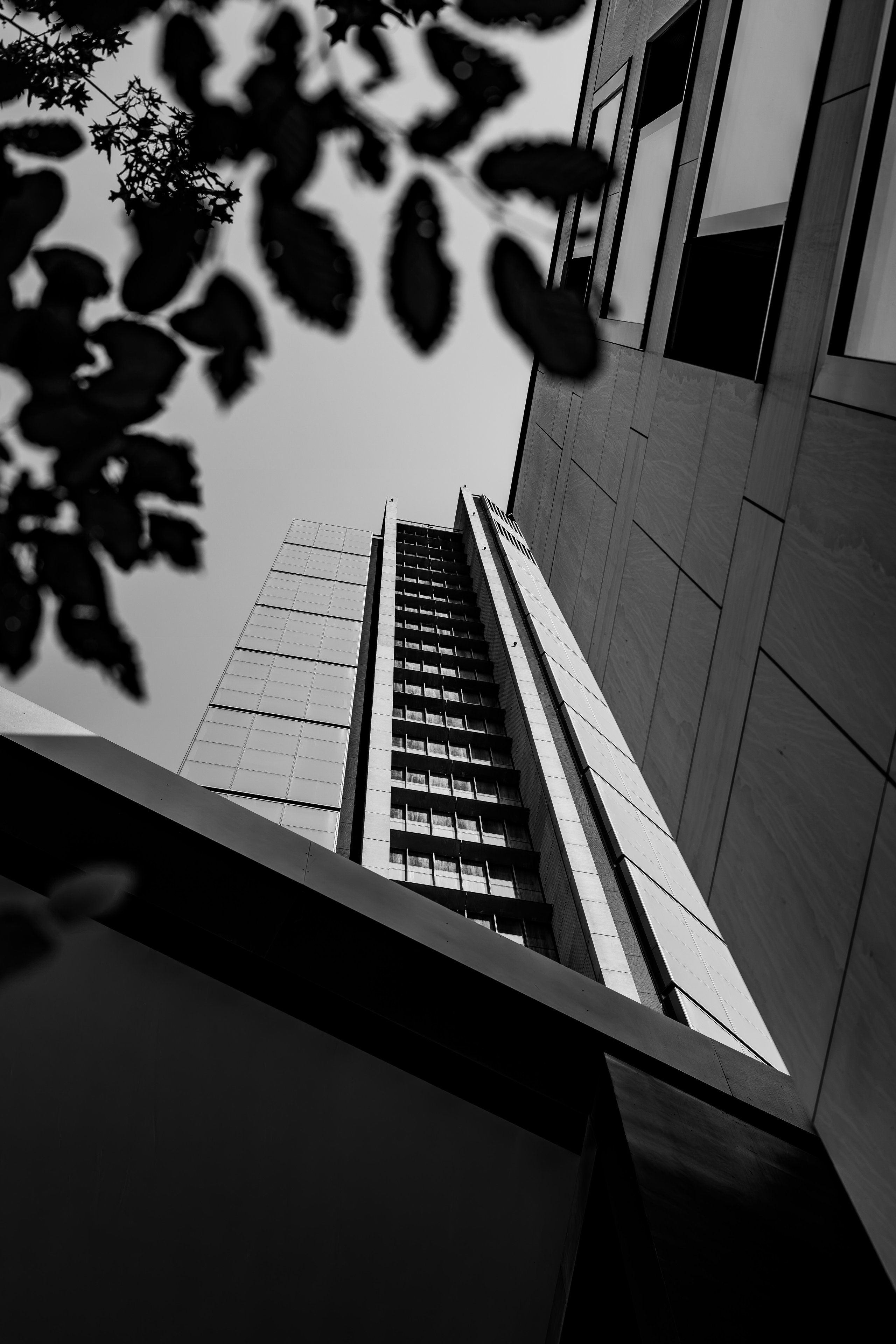 View from below framing a commercial building