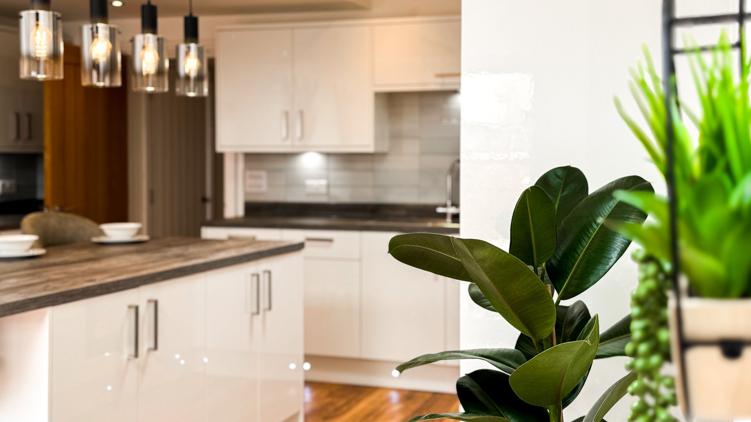 Foliage in a large open plan kitchen